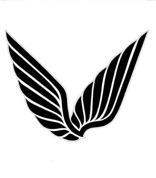 Falco P Logo